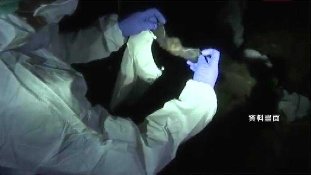 [新聞]致死率58%！印度爆發「立百病毒」 疾管署 - 八卦 - PTT.BEST 批踢踢爆文