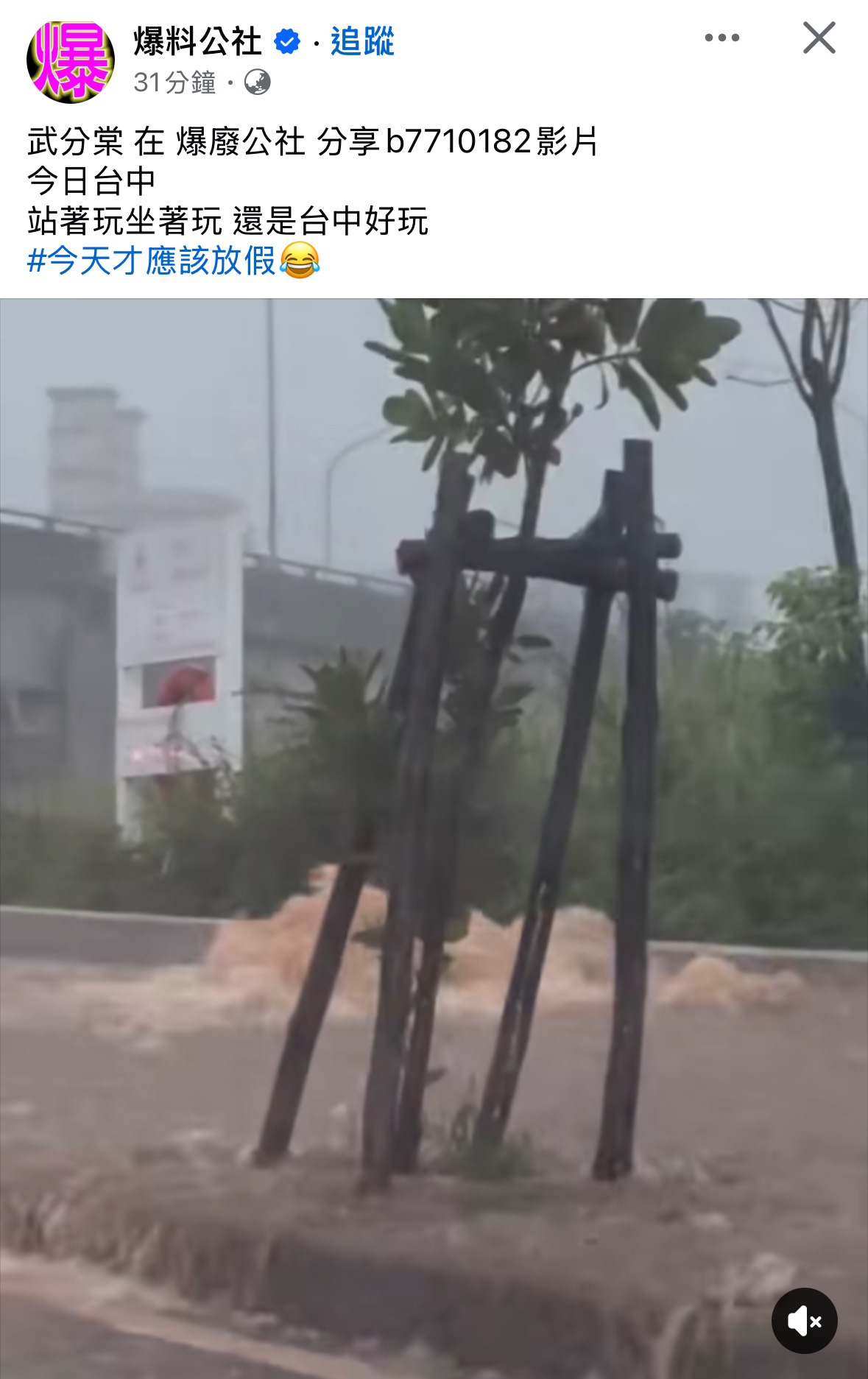 [討論] 驚喜！台中水溝蓋內又出現天然湧泉