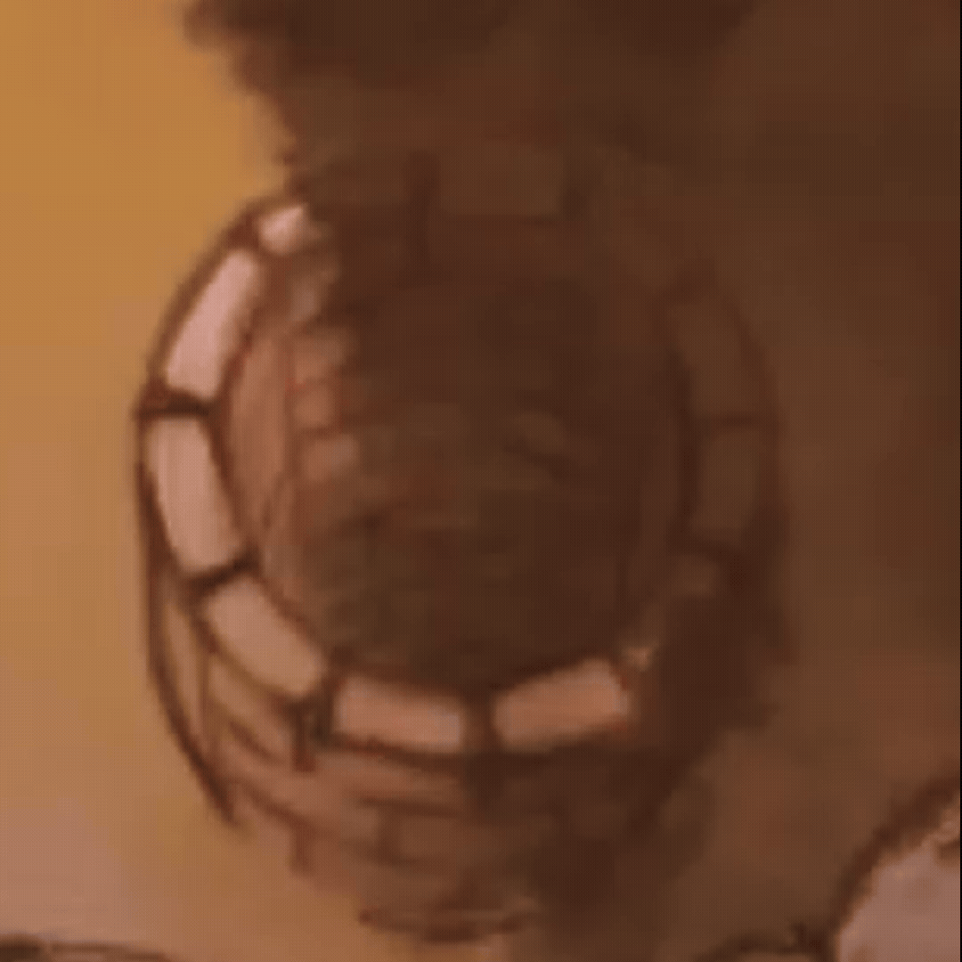 圖 原來不是做效果嗎