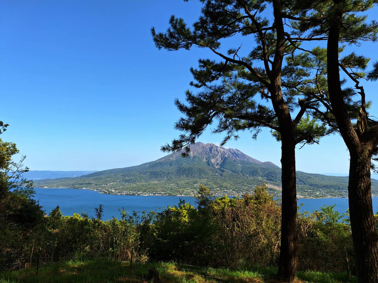 【旅遊】麗星郵輪 探索星號-岸上觀光行程，鹿兒島 (知覽武士
