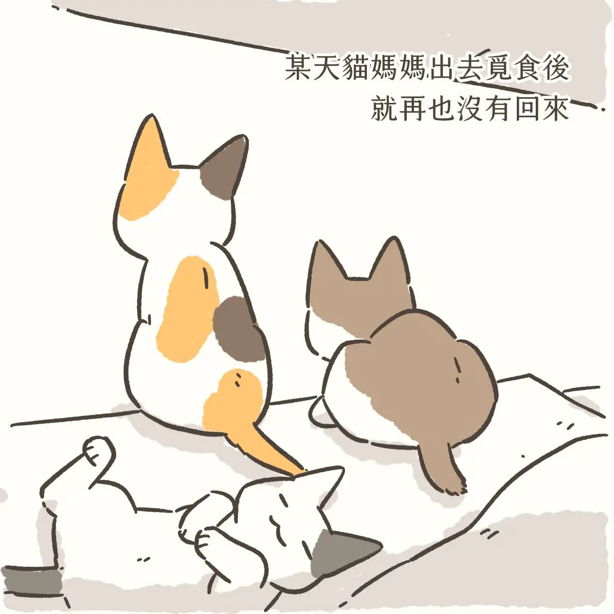 [浪浪] 「但至少不會餓肚子」 - 希洽 - PTT.BEST 批踢踢爆文 2