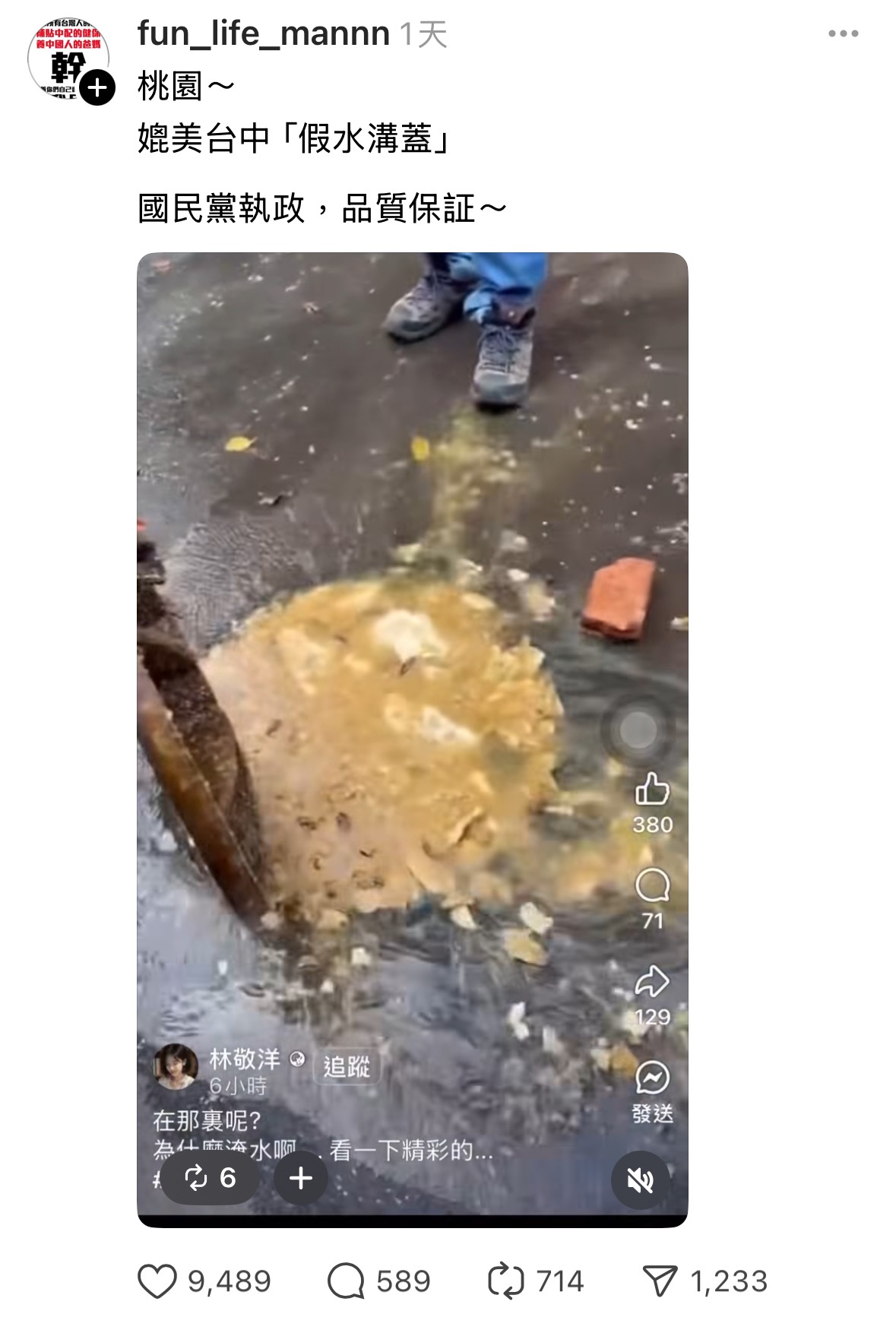 [討論] 慎入！桃園水溝蓋內也有大秘寶