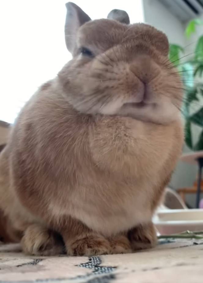 Re: [問卦] 大家的阿公以前都是做什麼的?