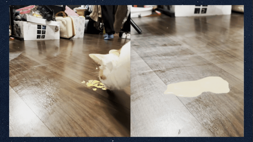 08GIF