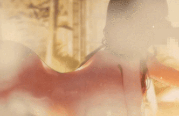 [棕色] 打上馬賽克果然很糟糕w