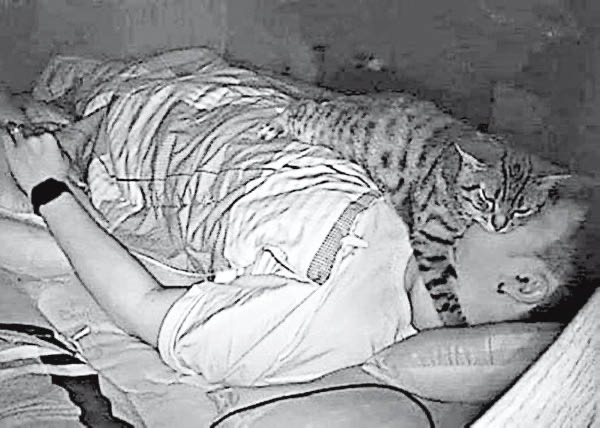 [問題] 你們養貓人都這樣的嗎? - 希洽 - PTT.BEST 批踢踢爆文 2