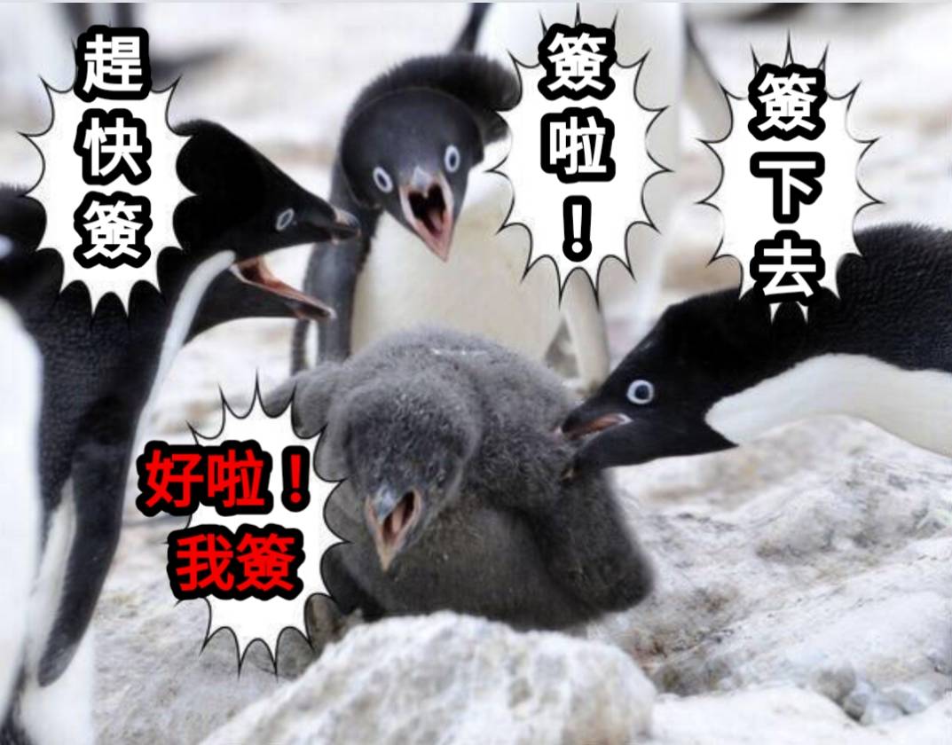 [問卦] 一般人要怎麼去東沙啊？