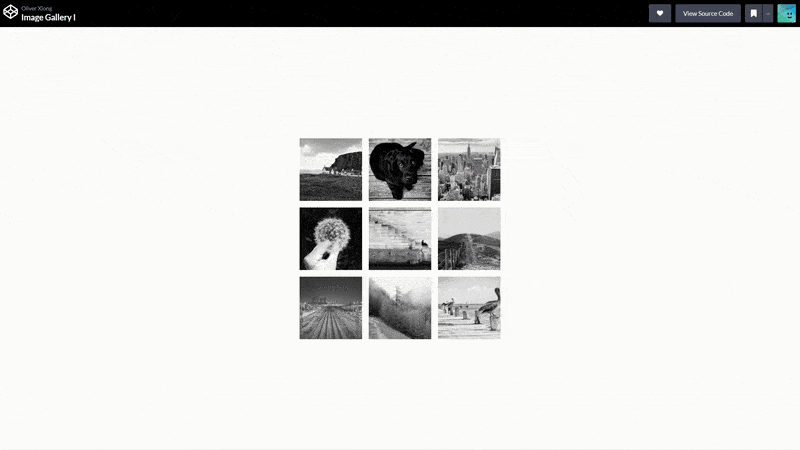 Image Gallery I (SPA)