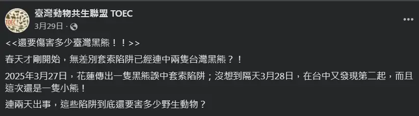 圖 台灣黑熊為何不會攻擊人類?