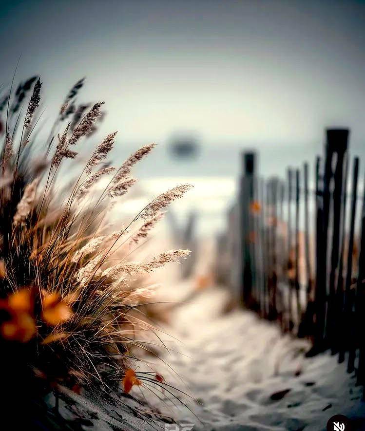 ”點擊放大” ”AA”