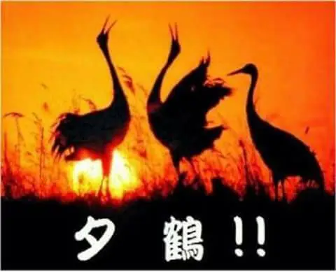 [新聞] 韓美關稅生變 工具機業：盼台美簽署後立 - 政黑 - PTT.BEST 批踢踢爆文