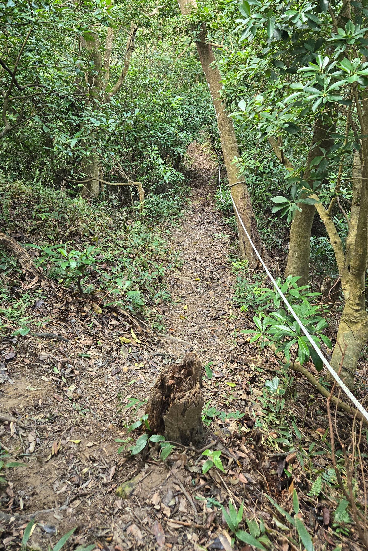 圖 小金面山—西湖山小O型