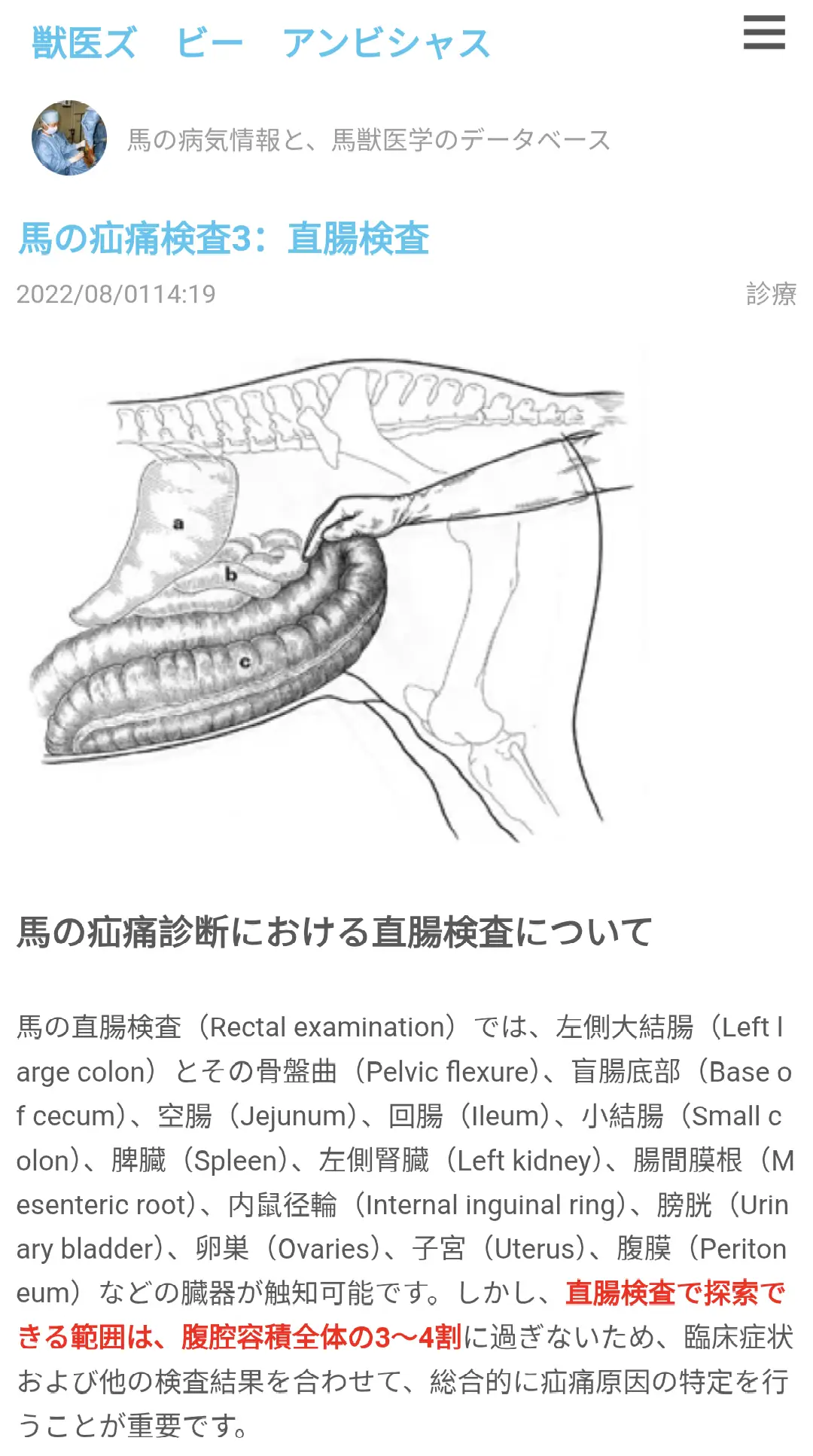 [問卦] 馬也會肛交嗎