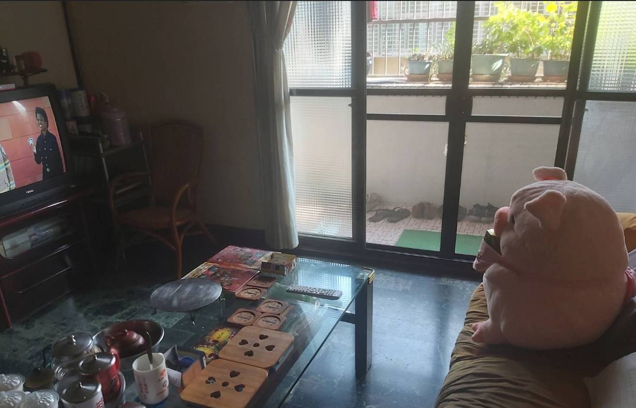 [問卦] 小猪農紀錄非洲豬瘟 DAY1