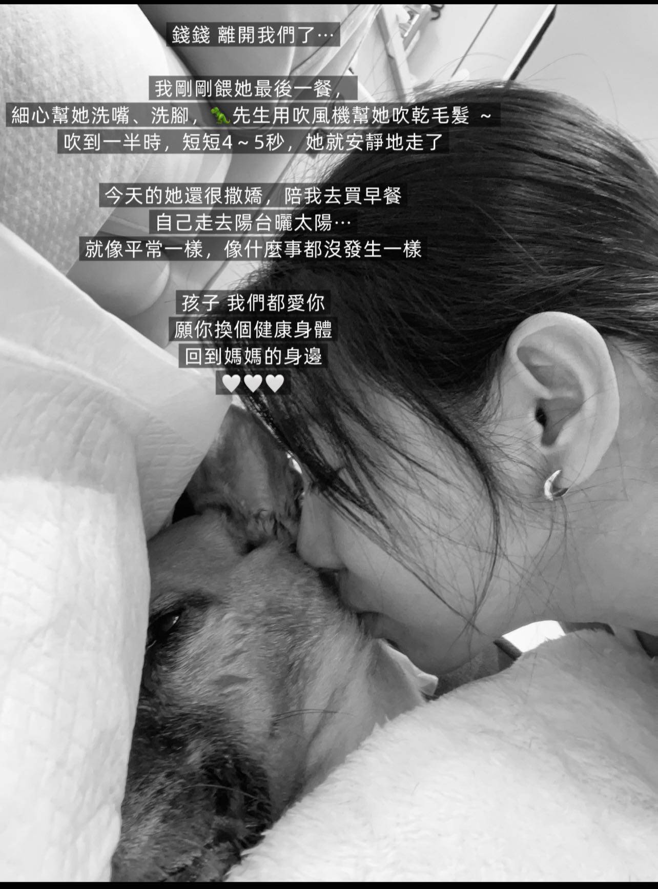[問卦] 慟！知名藝人米可白愛犬錢錢過世