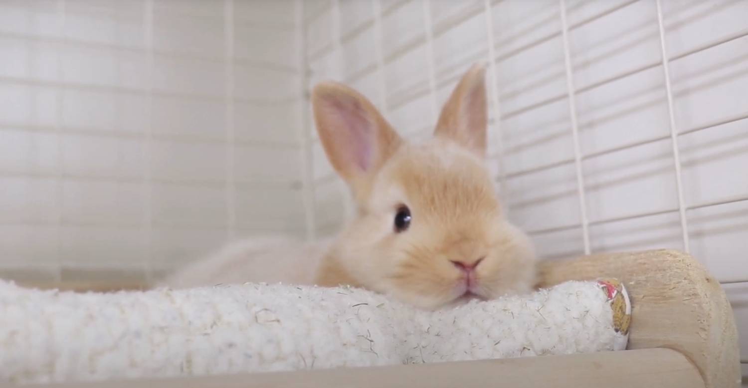 [問卦] 今天熱死了，是烤箱嗎？