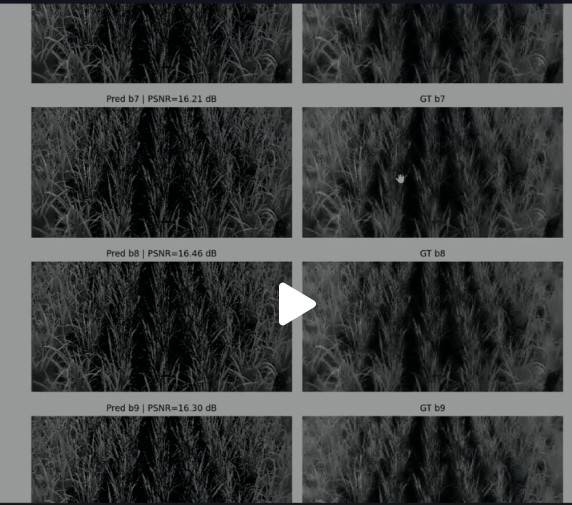 北溝田區多光譜生成圖