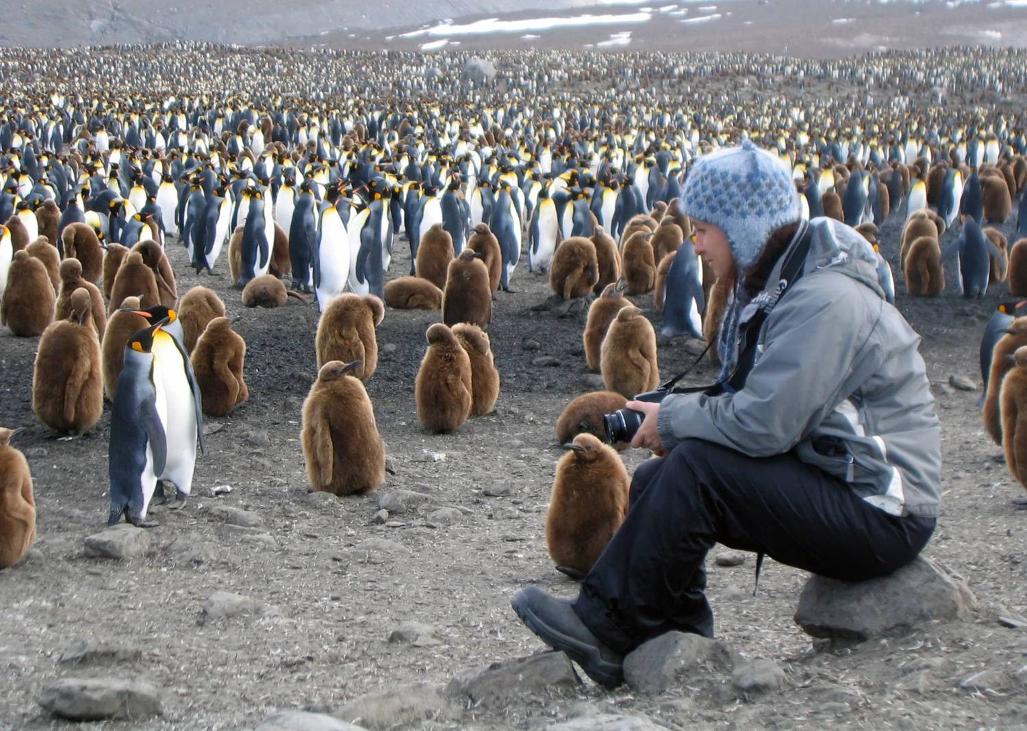 [問卦] 有沒有南喬治亞島的八卦?