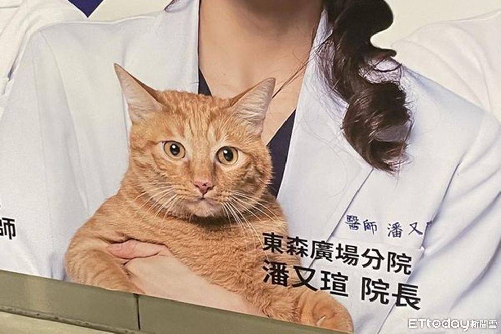 [問卦] 為什麼現在那麼多診所「院長」？