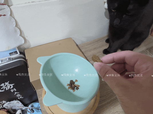 貓奴。挑嘴貓狗保健品推薦：ZuzuBits 滋滋比「腎好咬咬軟嚼錠」！我家貓咪好喜歡