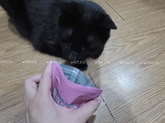 貓奴。挑嘴貓狗保健品推薦：ZuzuBits 滋滋比「腎好咬咬軟嚼錠」！我家貓咪好喜歡