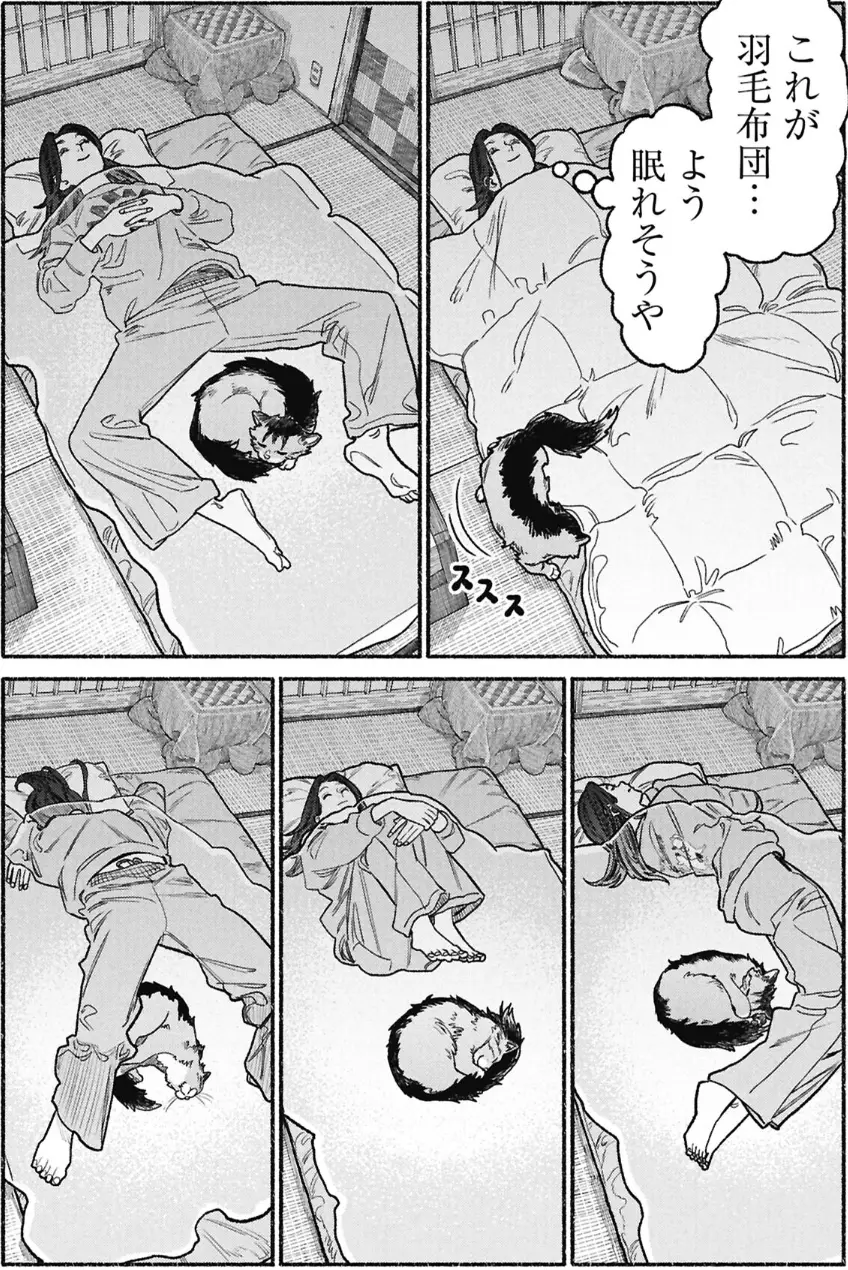 [問題] 你們養貓人都這樣的嗎? - 希洽 - PTT.BEST 批踢踢爆文