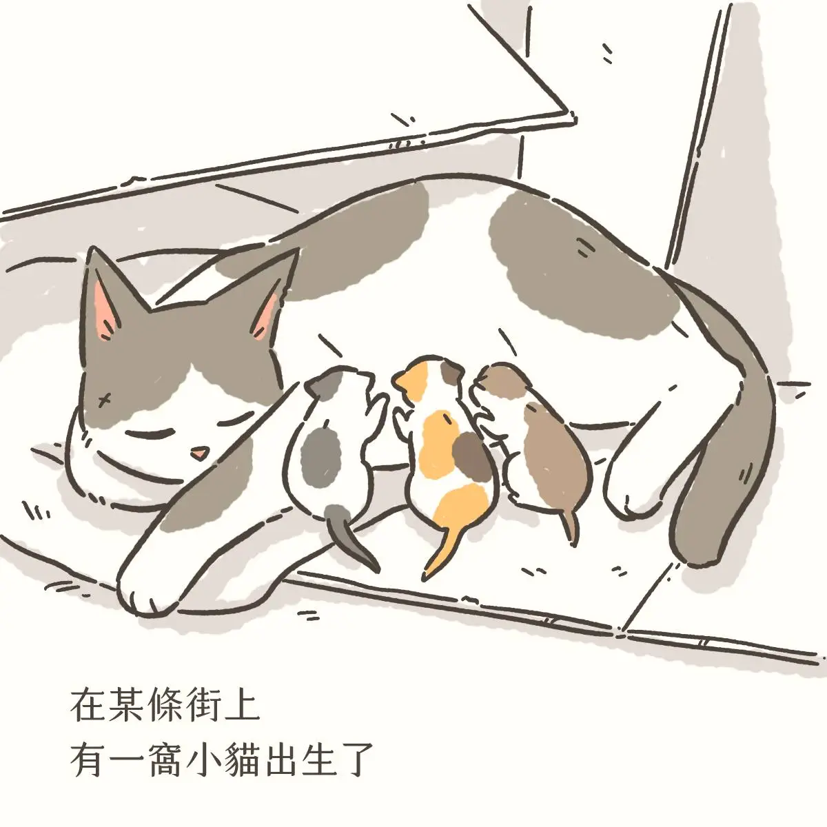 [浪浪] 「但至少不會餓肚子」 - 希洽 - PTT.BEST 批踢踢爆文