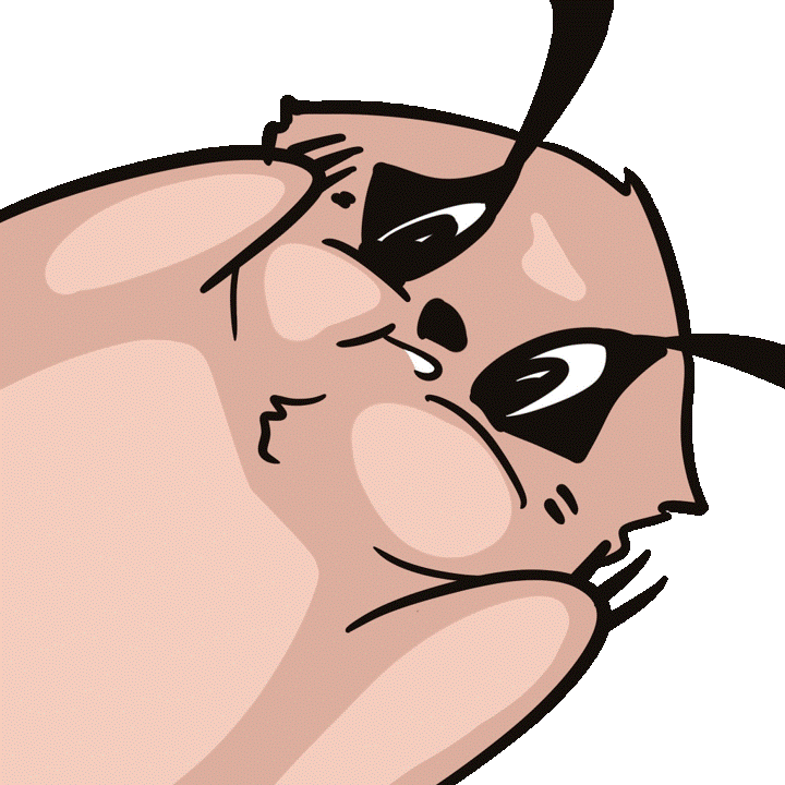 狸狸