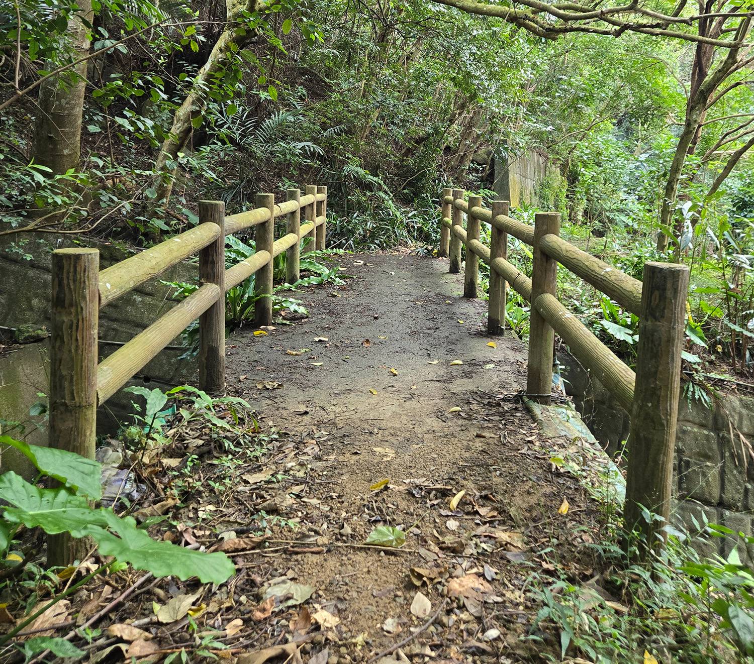 圖 小金面山—西湖山小O型