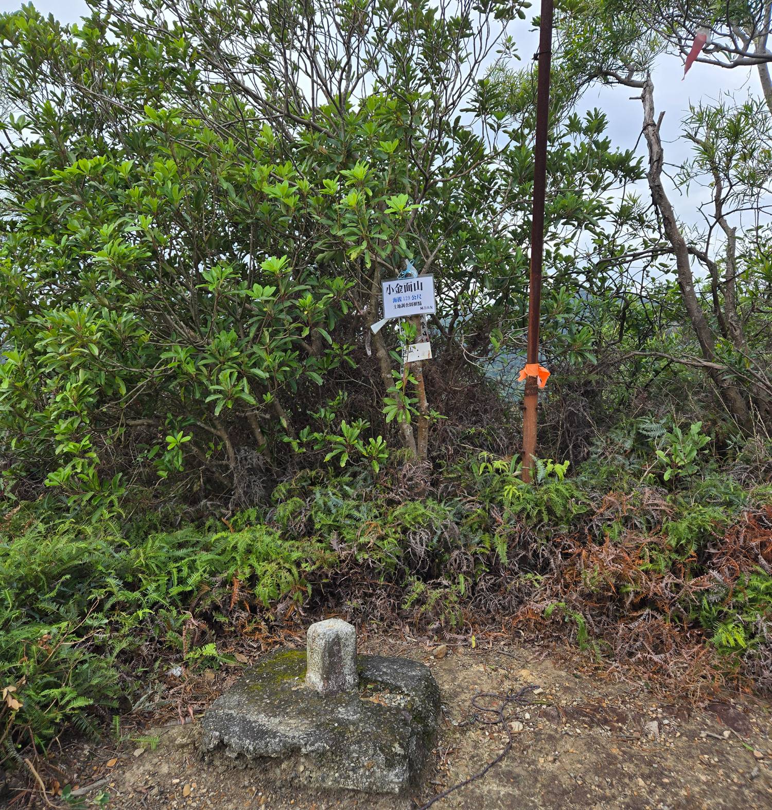 [記錄] 小金面山—西湖山小O型