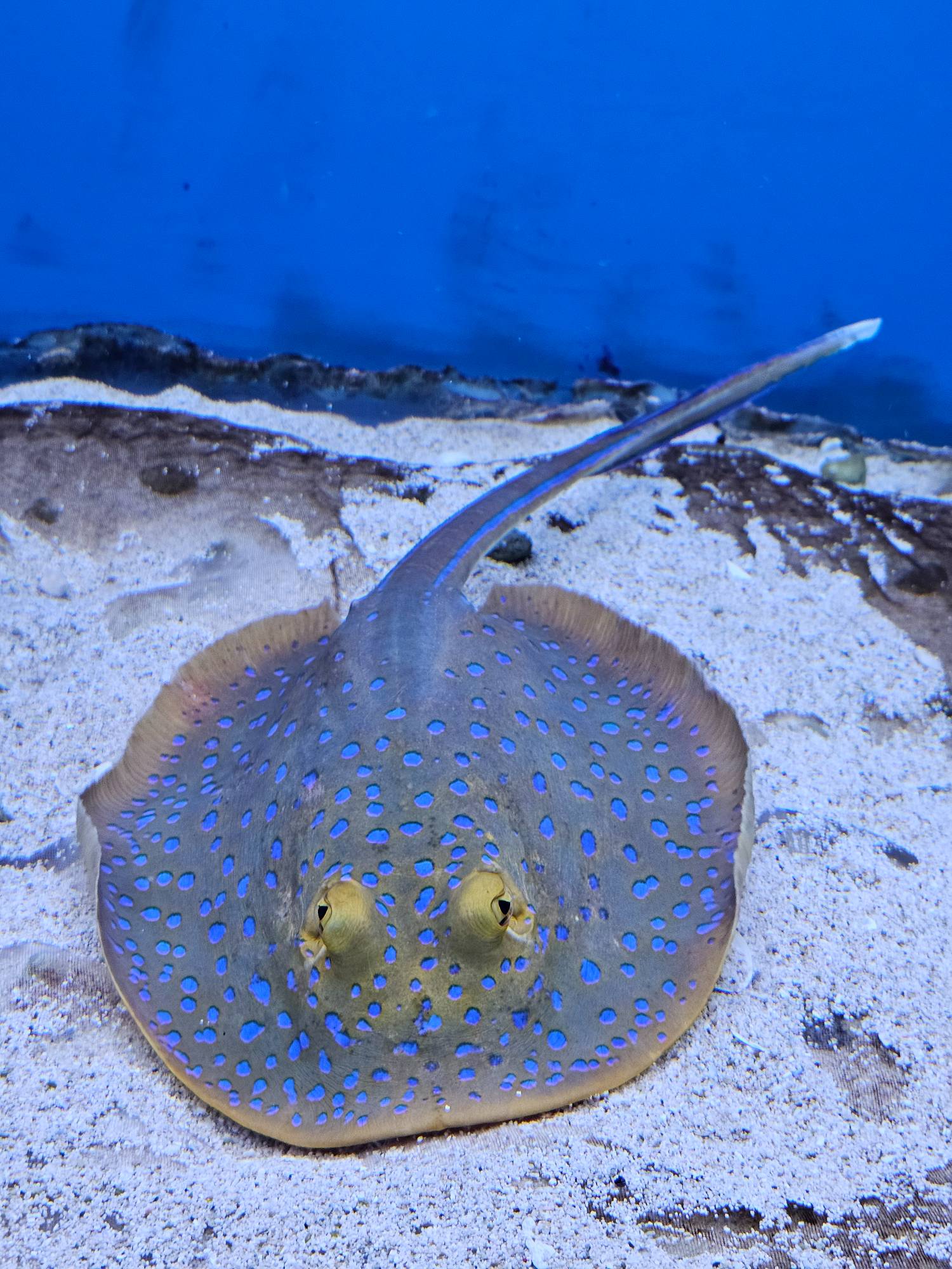 圖 251006 澄清湖主場