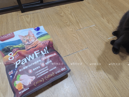 貓奴。寵物飲食控制飼料推薦:Pawful陪飽糧開箱!結紮貓吃陪心寵糧評價分享。 - 第22張圖 貓奴。寵物飲食控制飼料推薦:Pawful陪飽糧開箱!結紮貓吃陪心寵糧評價分享。