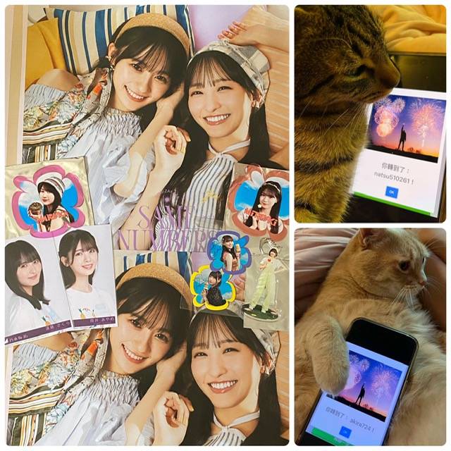 圖 250802 夏巡宮城場 Day1 Repo