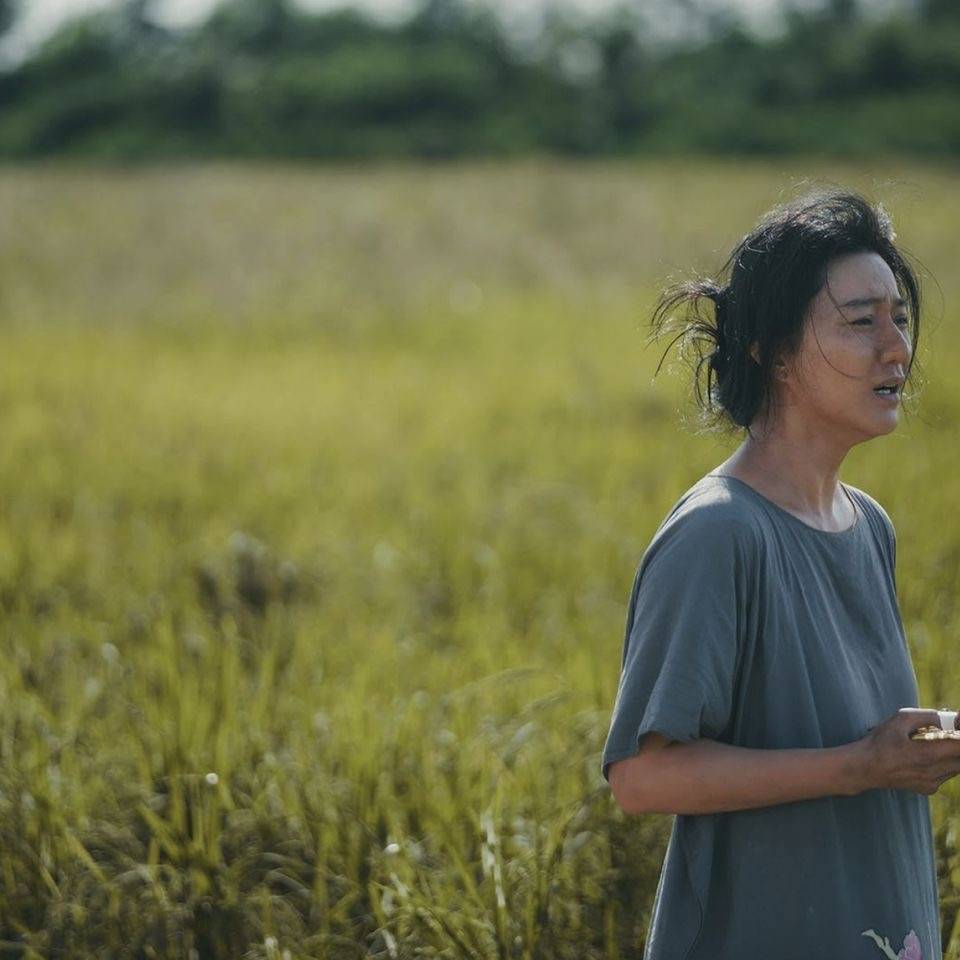 ”點擊放大” ”AA”