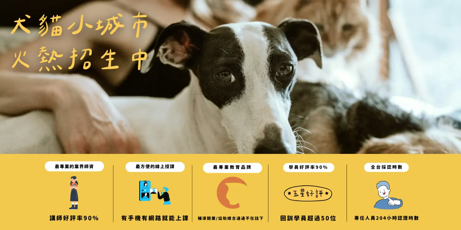 課程主頁面 課程招生 Banner