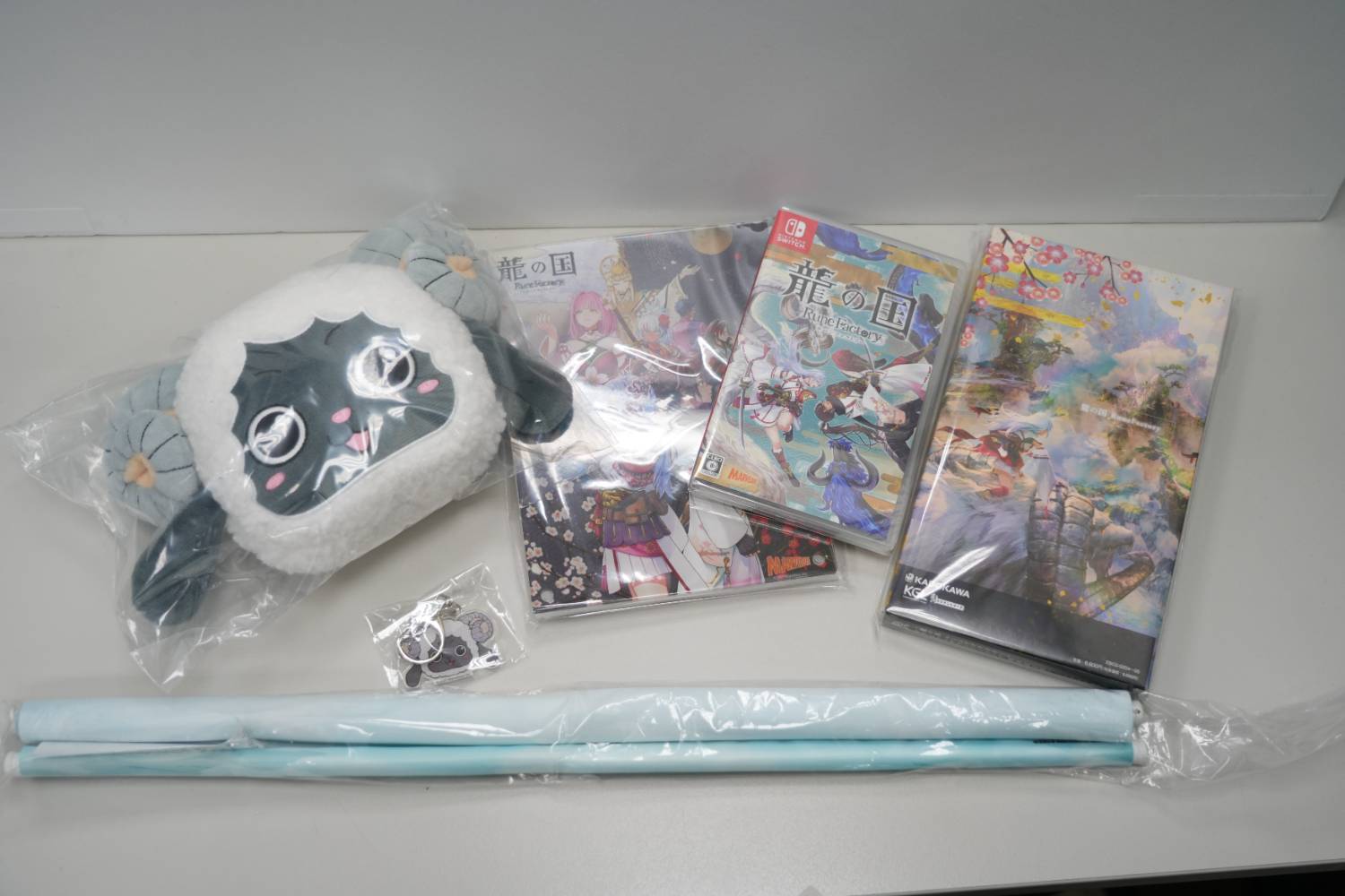 [閒聊] 符文工廠 龍之天地 日亞豪華套組開箱