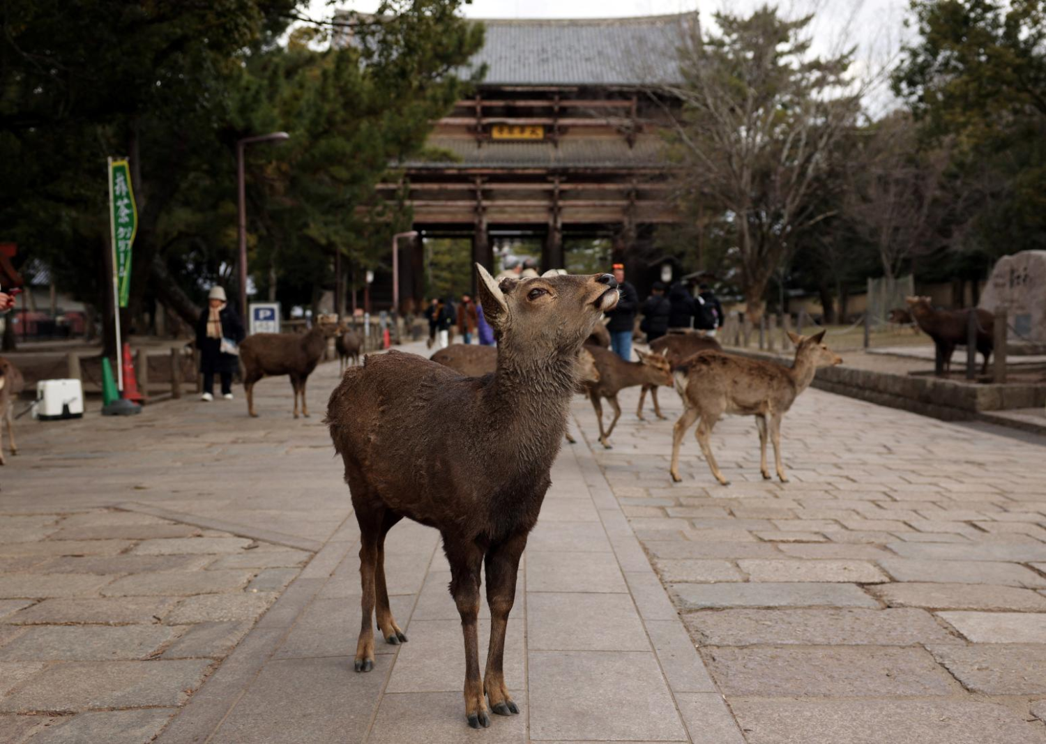 [圖]