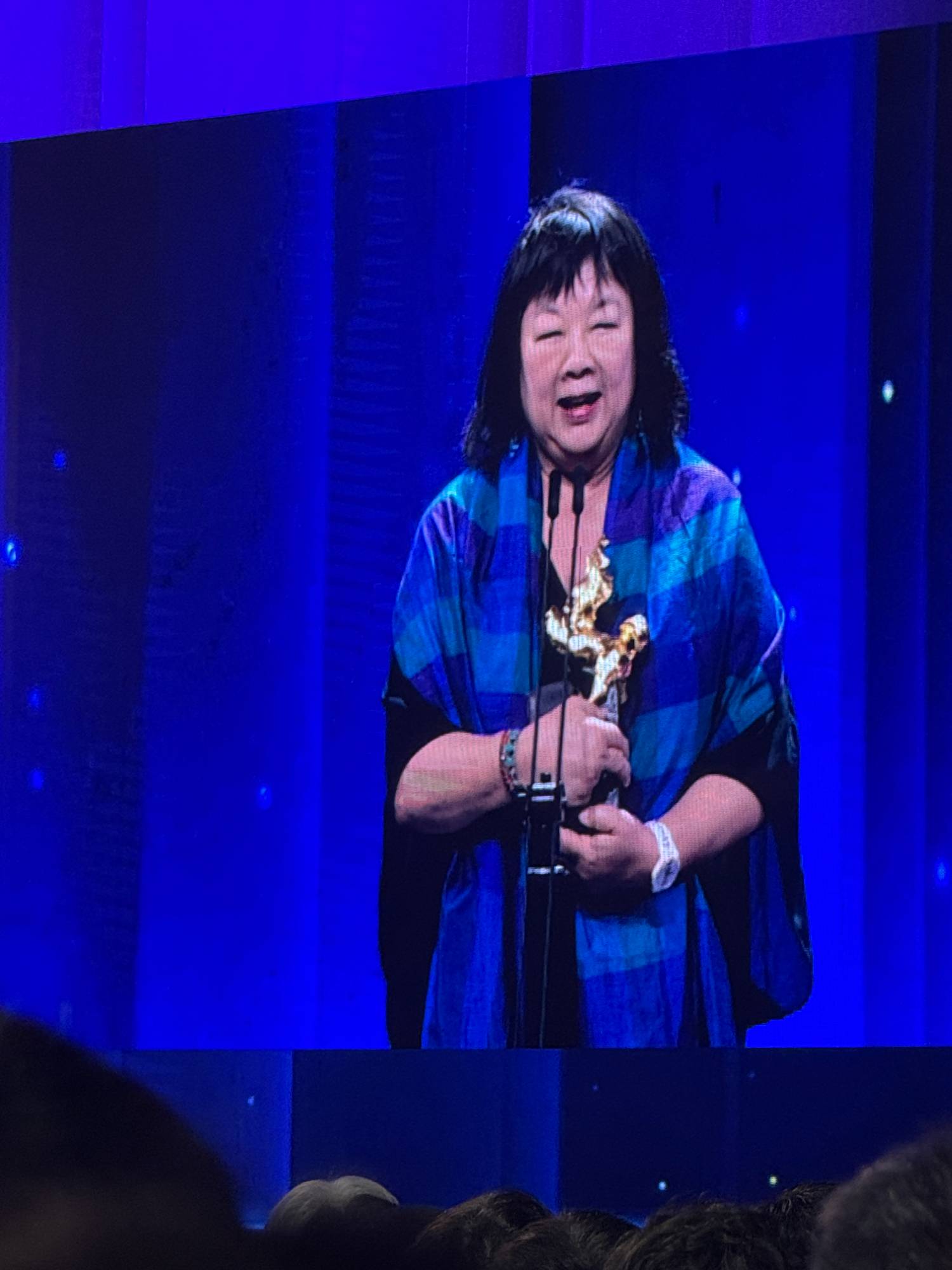 ”點擊放大” ”AA”