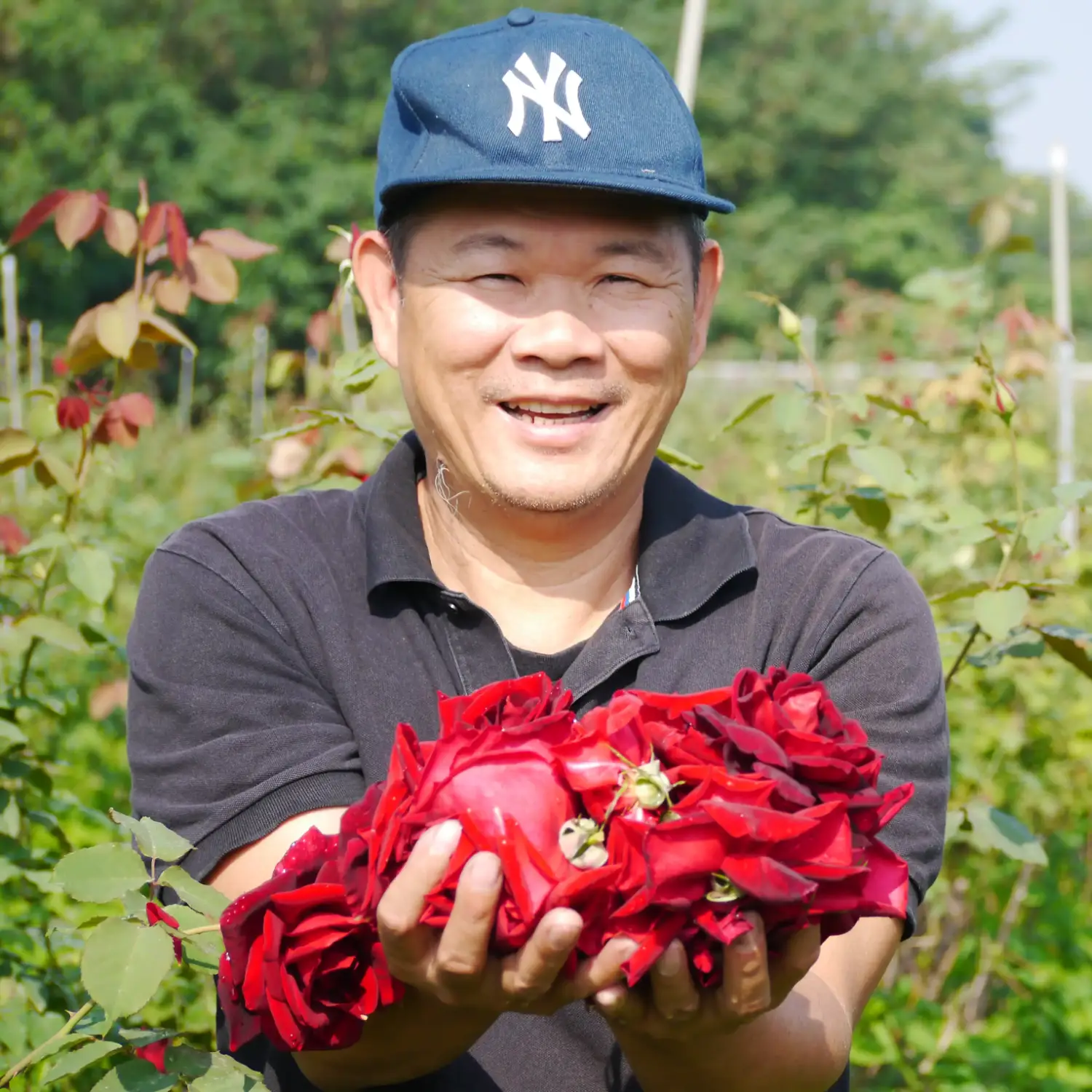 大花農場 老闆