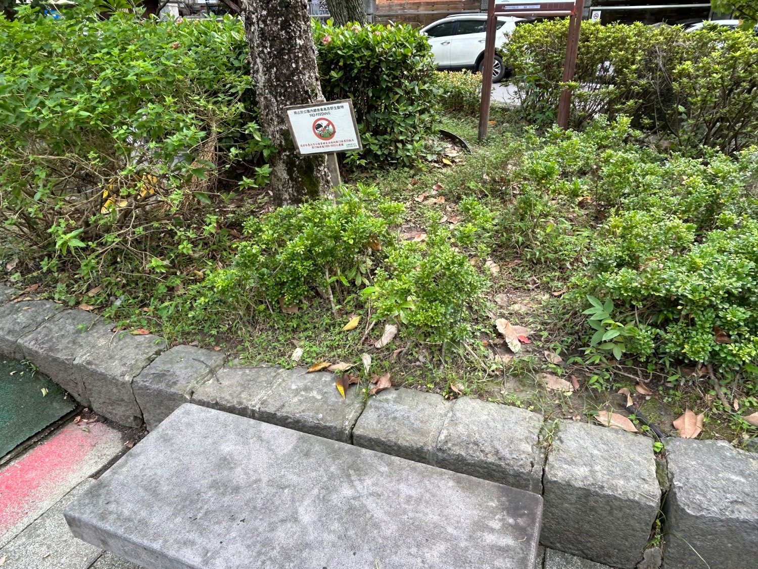 [問卦] 本肥來公園坐了..