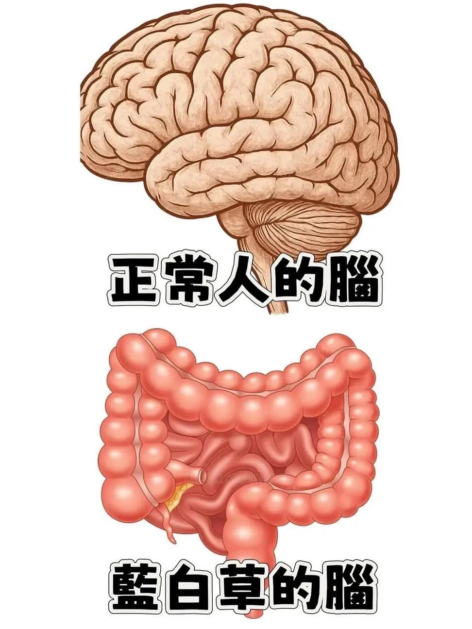 [討論] 小草「我手錶都能潛200公尺了，才50...」 - 政黑 - PTT.BEST 批踢踢爆文 3