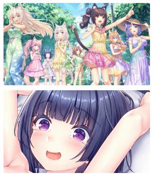[情報] NEKOPARA After 官網公開 6/13發售