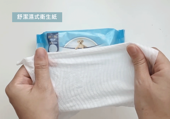 人氣濕式衛生紙比較!潔P、舒潔、Tempo、PASEO實測評比,這款最速乾CP值最高|濕式衛生紙推薦 - 第9張圖