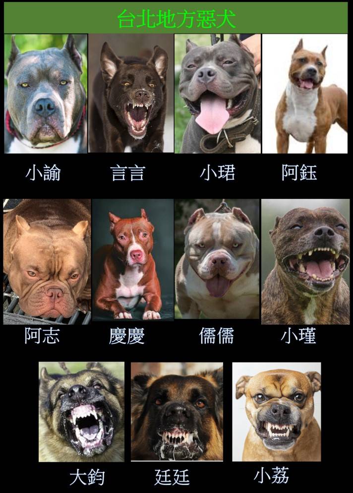 [問卦] 台北的11隻惡犬圖，哪一隻最兇惡?