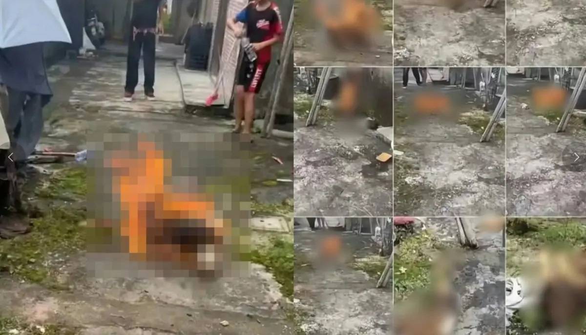 [新聞]廣東4男童虐殺犬隻片瘋傳！棍打幼犬、汽油 - 八卦 - PTT.BEST 批踢踢爆文