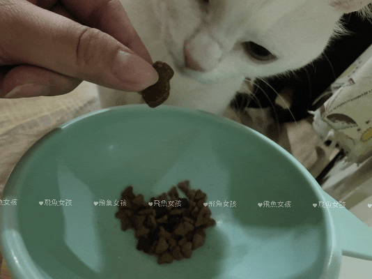 貓奴。挑嘴貓狗保健品推薦：ZuzuBits 滋滋比「腎好咬咬軟嚼錠」！我家貓咪好喜歡