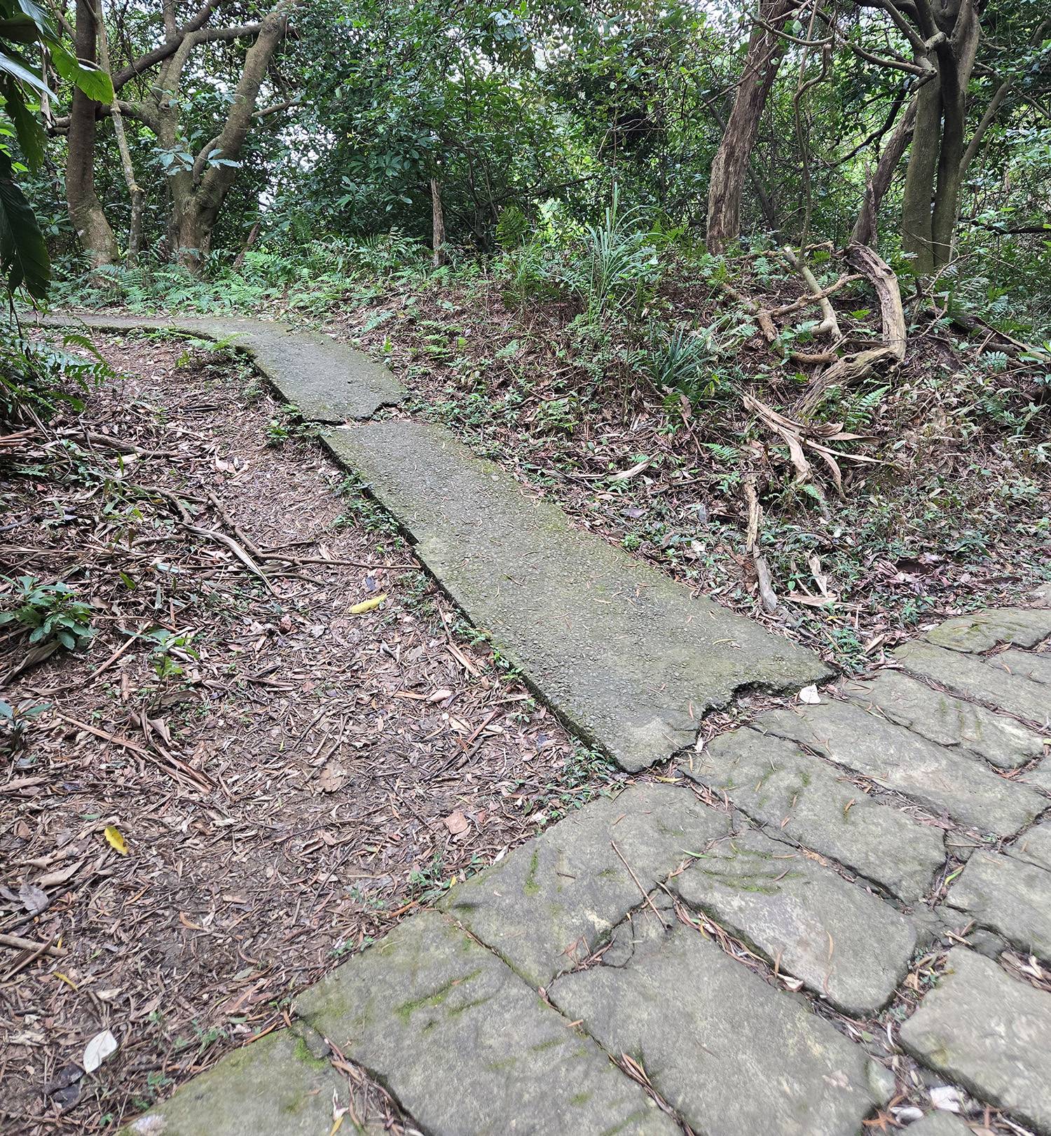 圖 小金面山—西湖山小O型