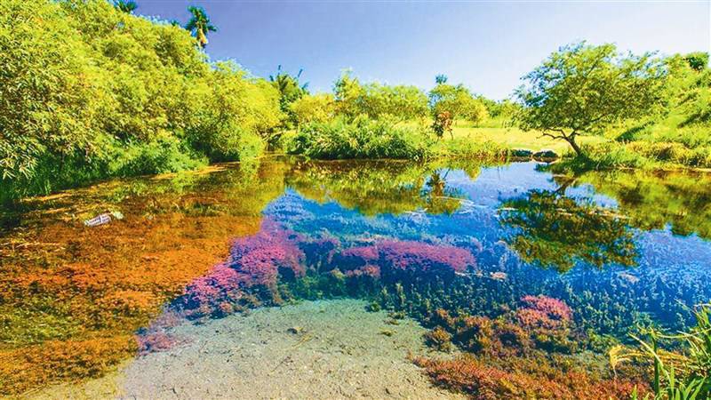 Re: [問卦] 強颱樺加沙重擊花蓮，災情慘重！