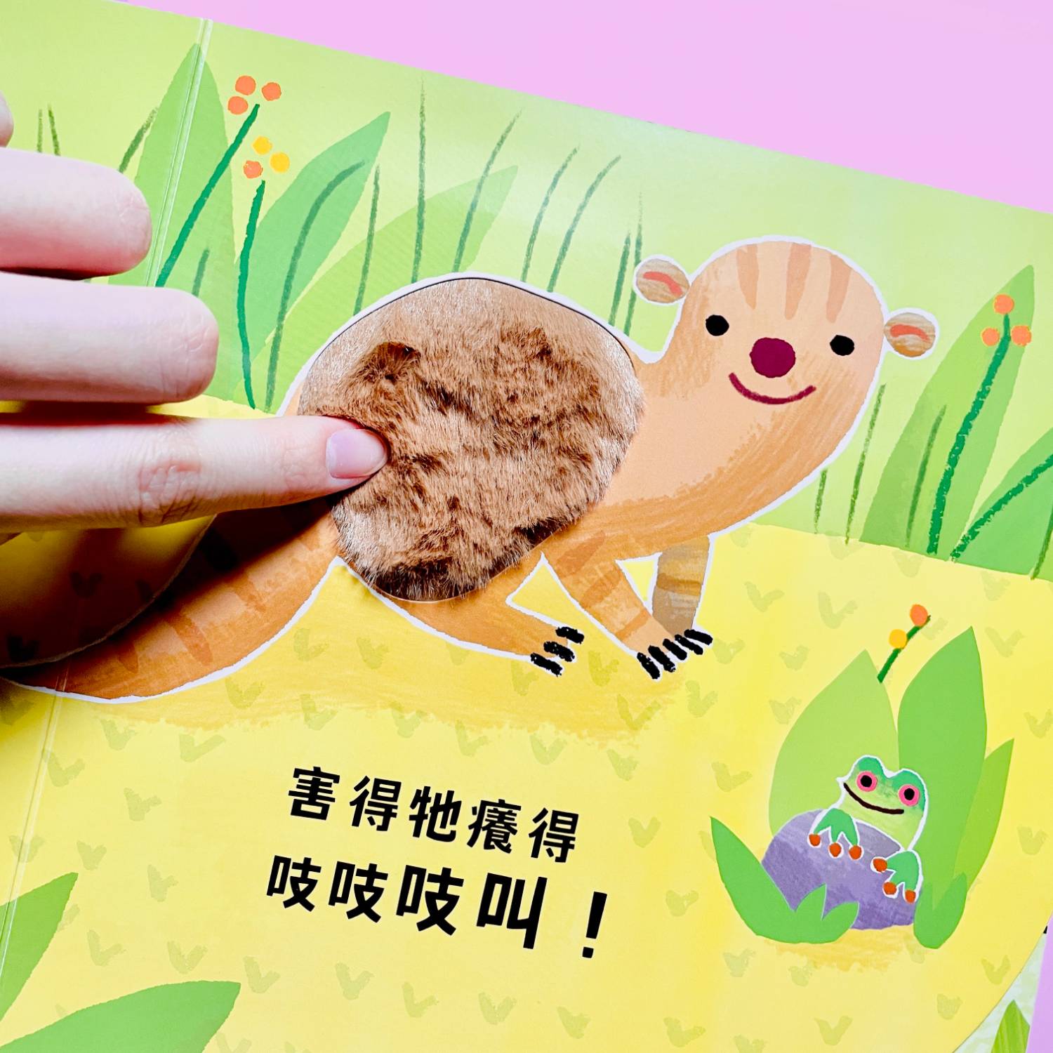 仿真絨毛示意圖