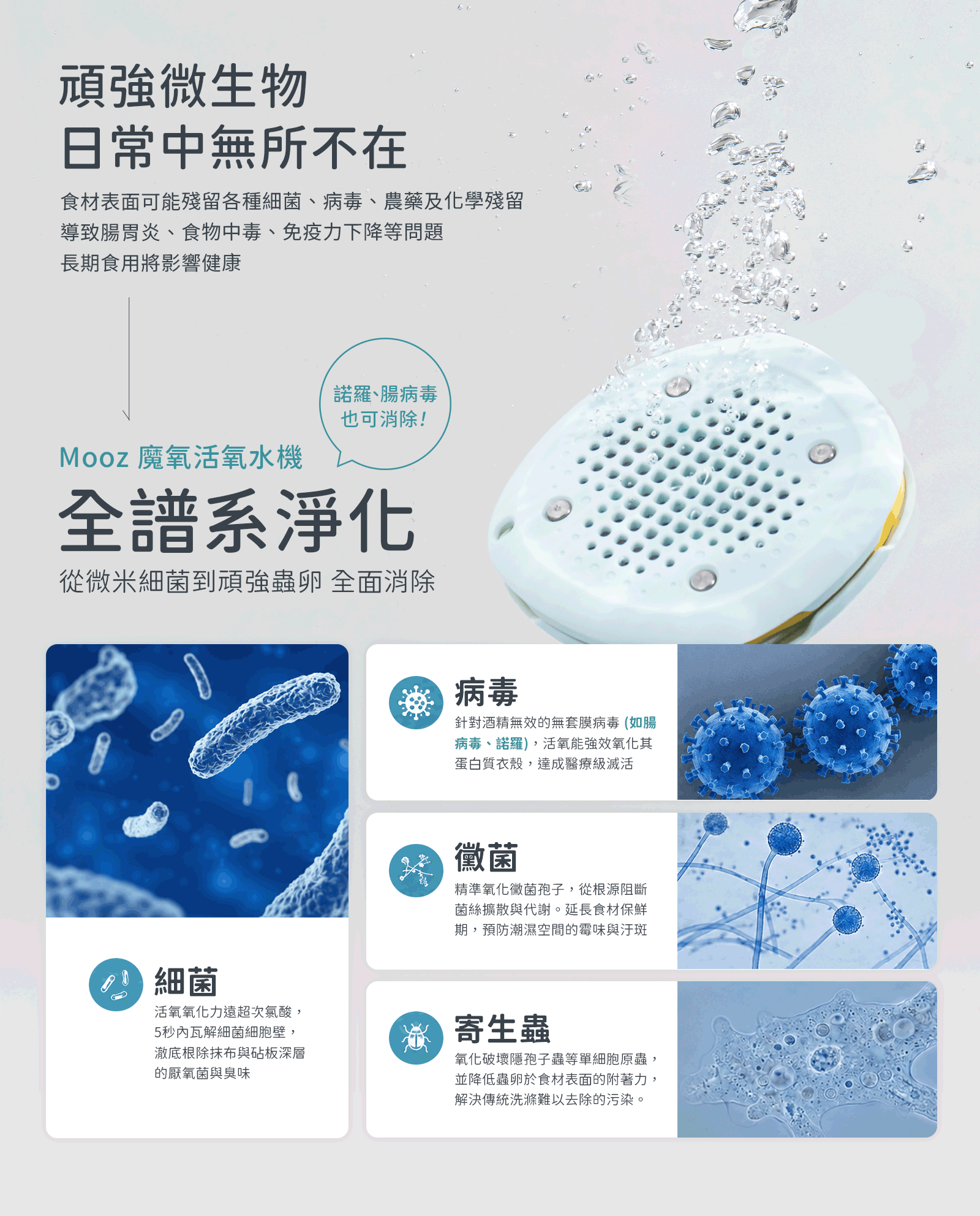 4全譜系淨化